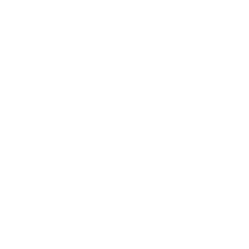 Autokran weiß icon